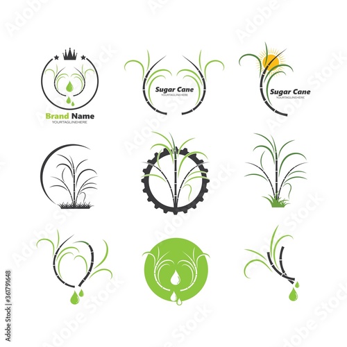 sugar cane vector icon illustration