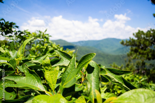 Old Rag