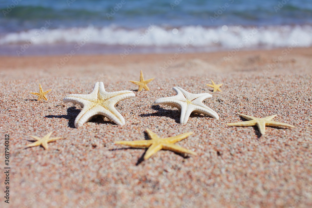 Starfish on the beach. Sandy beach with waves. Summer vacation concept. Holidays by the sea Starfish on the beach. Sandy beach with waves. Summer vacation concept. Holidays by the sea