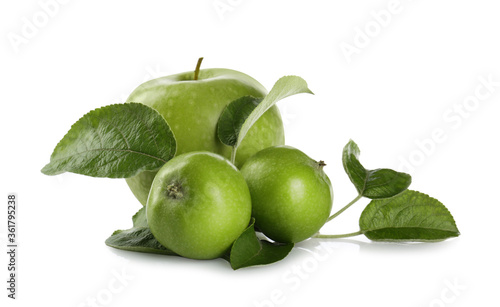 Fresh juicy apples with leaves isolated on white