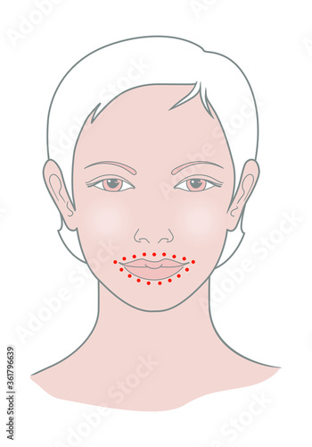 Shiatsu points face massage, acupuncture. Female head view. Vector. Isolated on white background