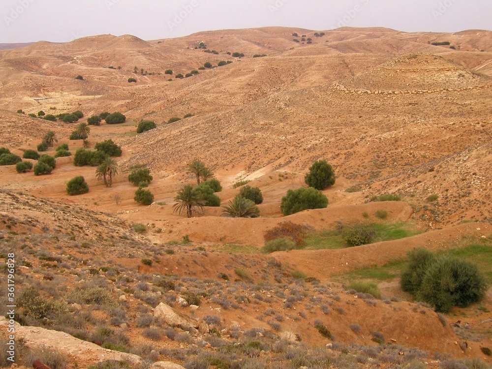 Fototapeta premium LIBYA, JEBEL NAFUSA. LANDSCAPE OF THE WESTERN LIBYA. 