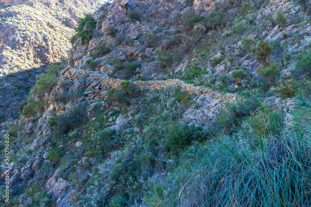 old road on a mountainside