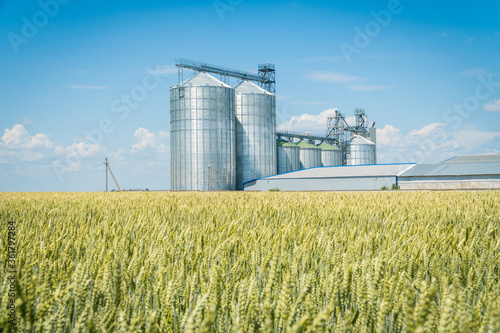 Modern grain elevator in a green wheat field.