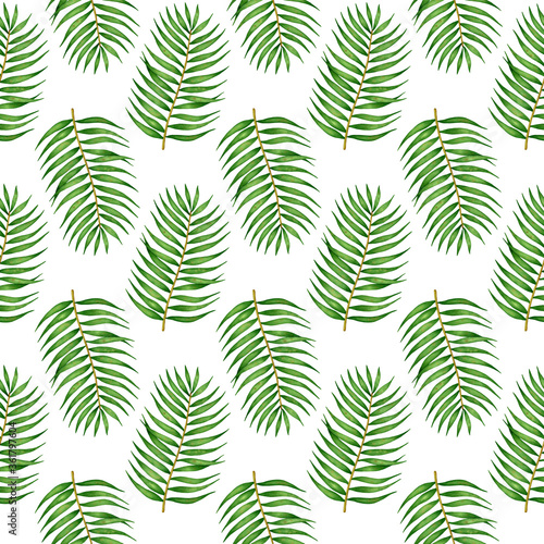 Seamless pattern with green tropical leaves, coconut palm tree branch on white background. Hand drawn summer nature print for design wrapping paper, textile, fabric, scrapbooking