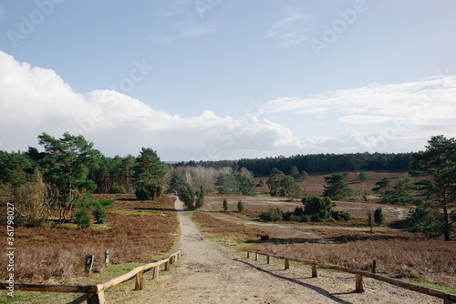 Spaziergang durch das Büsenbachtal bei Buchholz in der Nordheide
