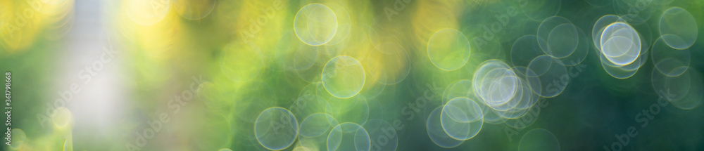 abstract light from nature colorful using as background cover page - obrazy, fototapety, plakaty 