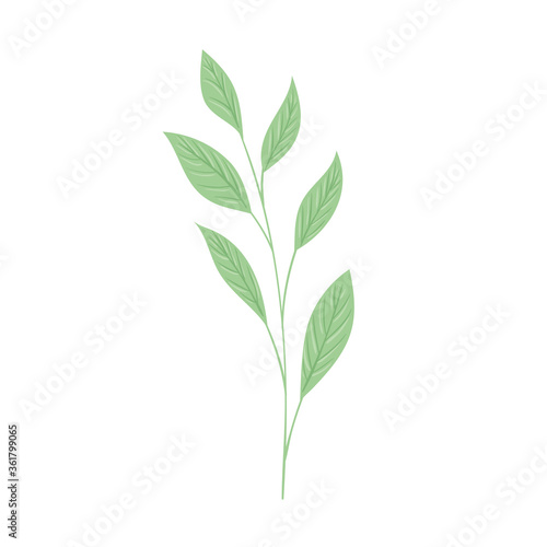 tropical branch with leaf pastel color on white background vector illustration design