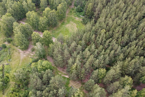 From above, you can see that a dirt road passes through the coniferous forest, which is little used in summer