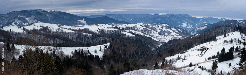 Synevirsky reserve Ukraine. forest on top of mountains winter