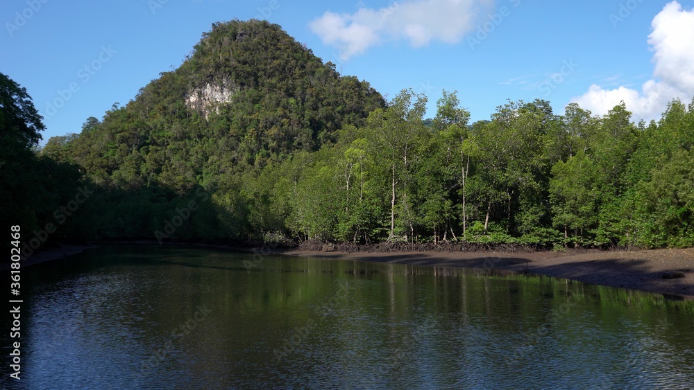 Landscape of nature, flowing river against the background of the forest and mountains. Enjoying the beauty of nature. Landscape of nature, flowing river against the background of the forest and mountains. Enjoying the beauty of nature.