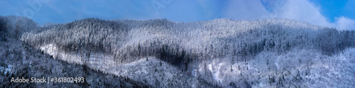 Synevirsky reserve Ukraine. forest on top of mountains winter