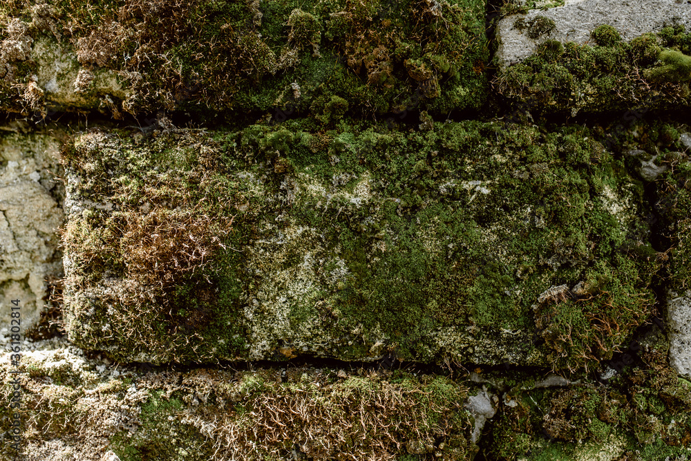 Texture background of old wall destroyed by time from white stone bricks Texture background of old wall destroyed by time from white stone bricks