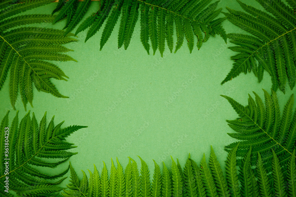 Green paper background with tropical leaves. Free space for entries.