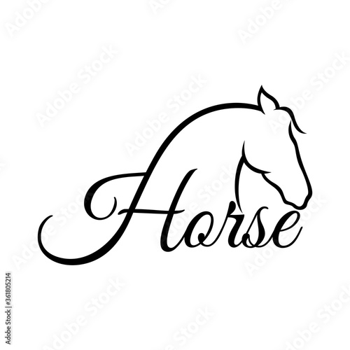 Modern horse steed logo.Vector illustration.