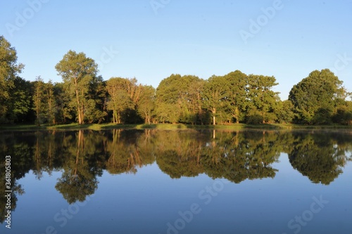 Morning lake reflection spring