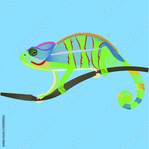  Animals Blend - Chameleon