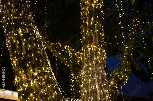 cable of string led lights on tree in the garden at night time used for decorating for beauty According to important festivals