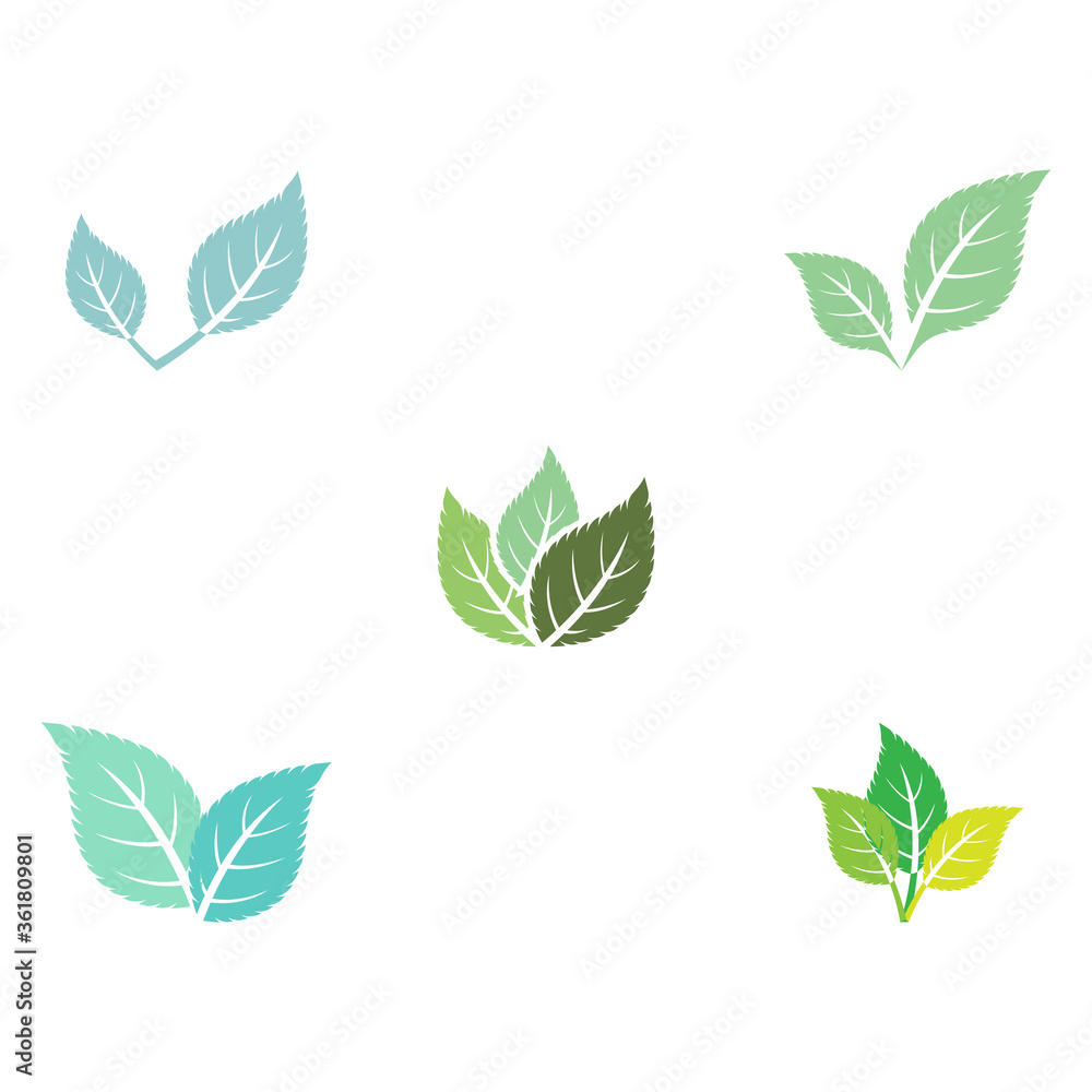 Set Leaf Mint Logo Template Set Leaf Mint Logo Template