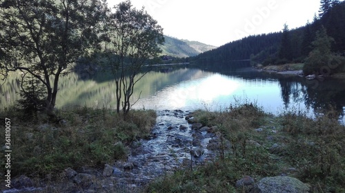 The muddy path leading to the silent lake, with single small tree in the side.