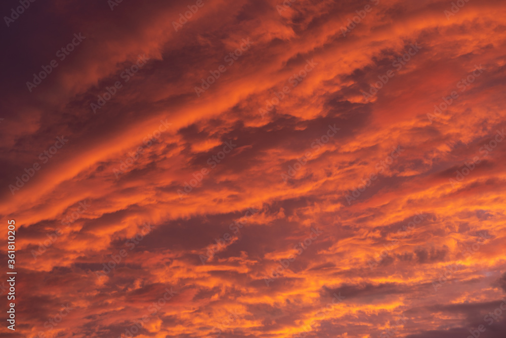 Pink clouds close up at sunset in the evening