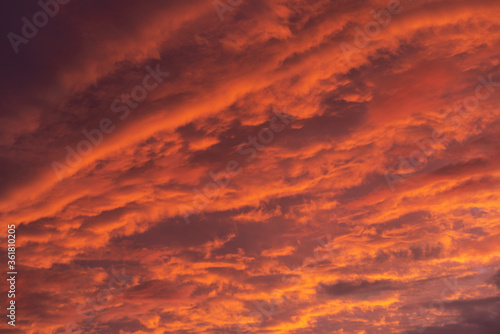 Obraz na płótnie Pink clouds close up at sunset in the evening w salonie
