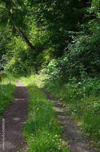 Some Path Less Traveled