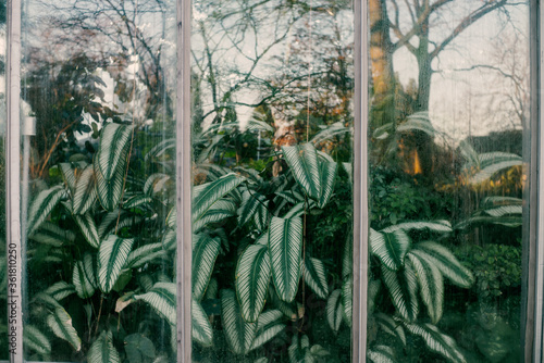 Tropenhaus des Botanischen Gartens in Hamburg 