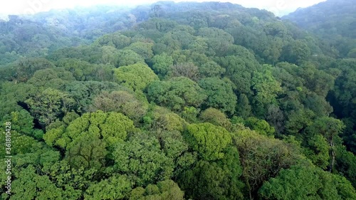 Morning flight over the lush and misty jungle of the Doi Inthanon national park,  near Chiang Mai, the highest mountain peak in Thailand .