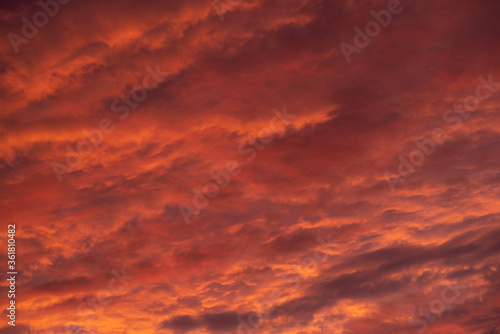 Obraz na płótnie Pink clouds close up at sunset in the evening w salonie