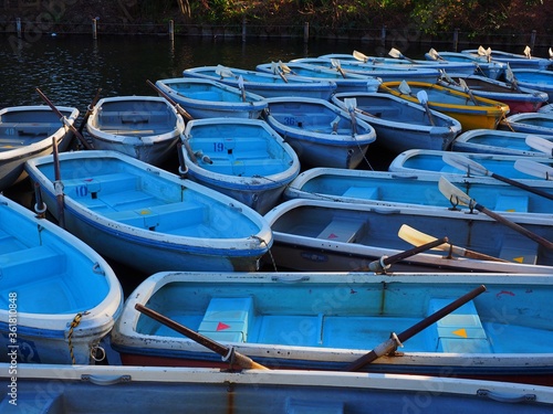 Wallpaper Mural  row boats with oars  Torontodigital.ca