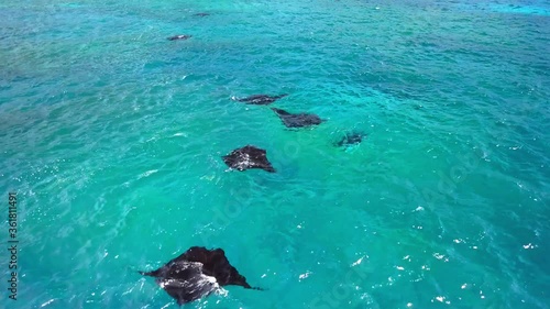 Aerial view of Manta rays group swimming in Nusa Penida island near Bali .