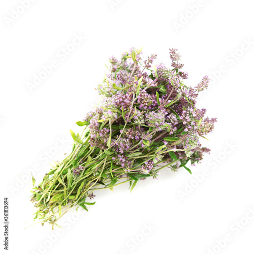 Oregano flowers bouquet isolated on white background  top view