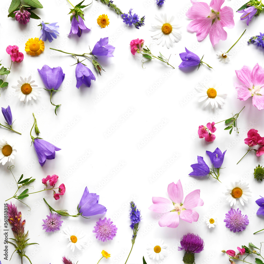 Flowers  flat lay. Pattern from plants, wild flowers isolated on white background, top view. The concept of summer, spring, Mother's Day, March 8. 