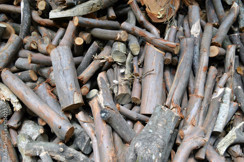 Pile of firewood logs