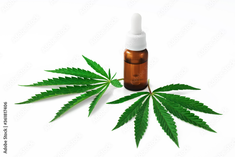 Marijuana Cannabis leaves and cbd oil In a bottle isolated Marijuana Cannabis leaves and cbd oil In a bottle isolated