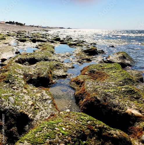 Seashore