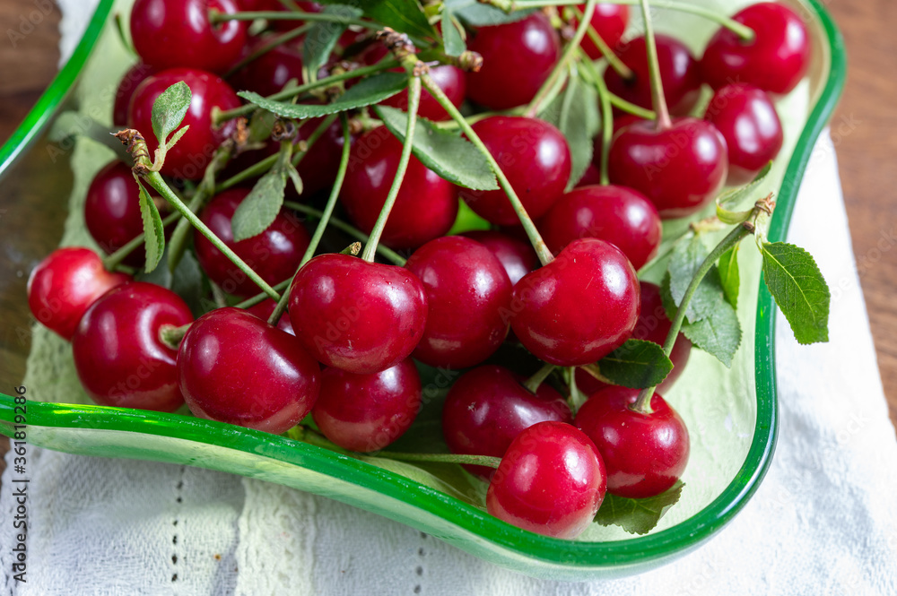 New harvest of red ripe juicy sour cherry or kriek berry New harvest of red ripe juicy sour cherry or kriek berry