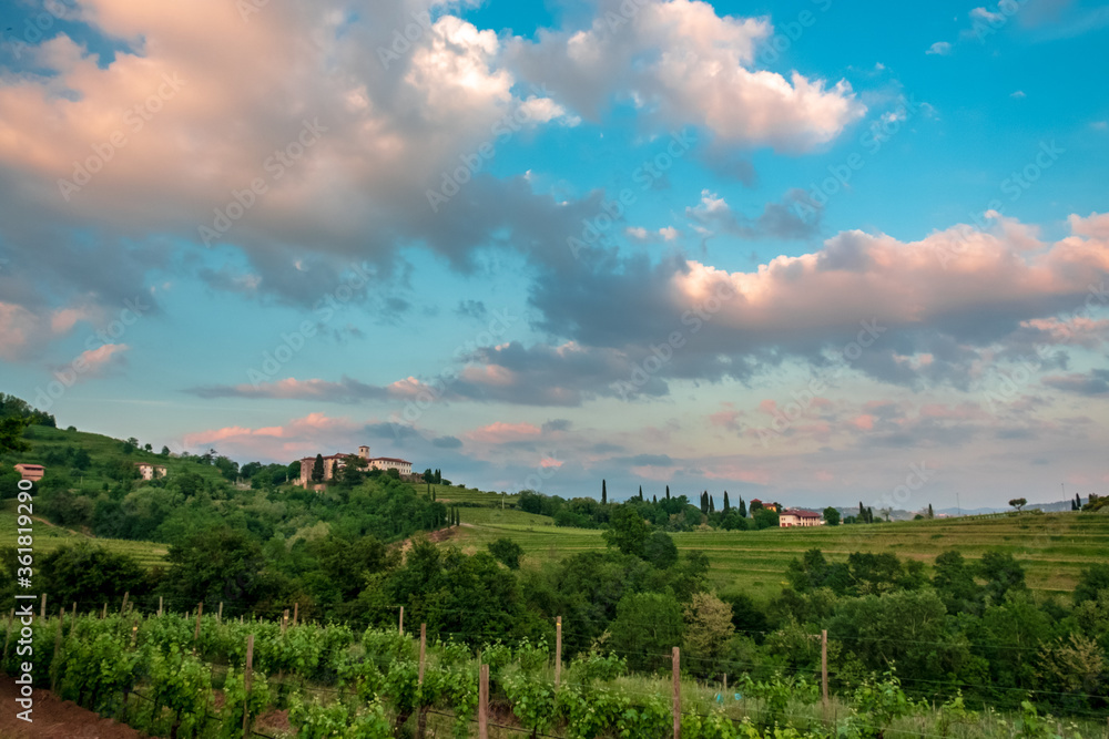Obraz premium Spring stormy sunset in the vineyards of Collio Friulano, Friuli-Venezia Giulia, Italy