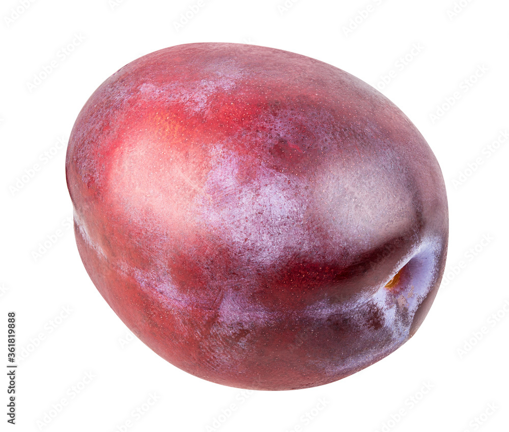 Plum isolated on white background with clipping path