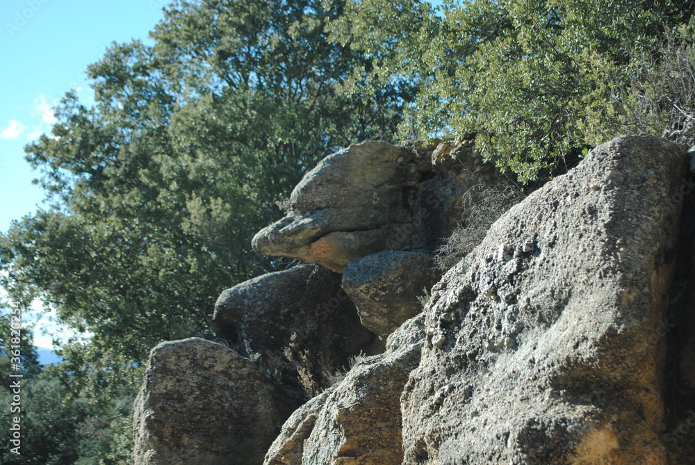 roca en forma de delfin