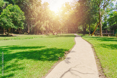 Fototapeta Naklejka Na Ścianę i Meble -  New pathway and beautiful trees track for running or walking and cycling relax in the park on green grass field on the side of the golf course. Sunlight and flare background concept.