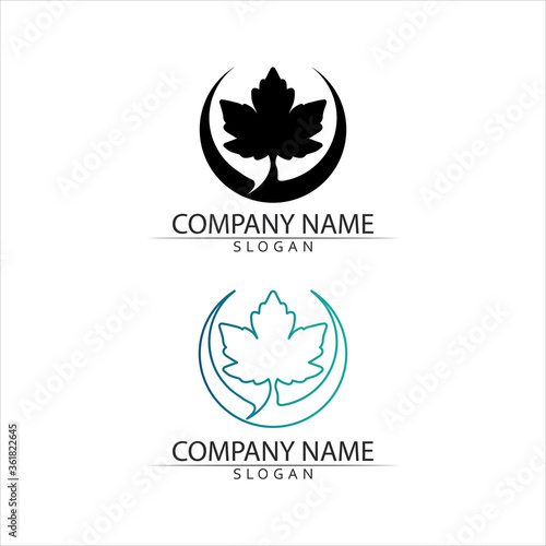 Tree leaf vector and green logo design friendly concept