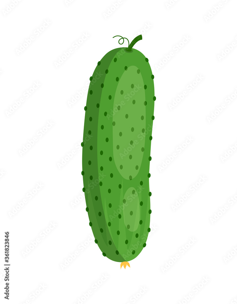 cucumber isolated on white background, vector illustration cucumber isolated on white background, vector illustration