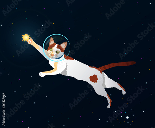 Space cat