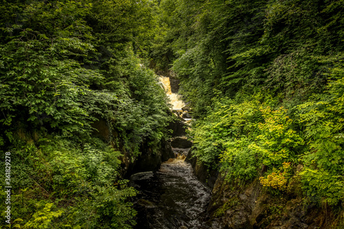 waterfall in the forest