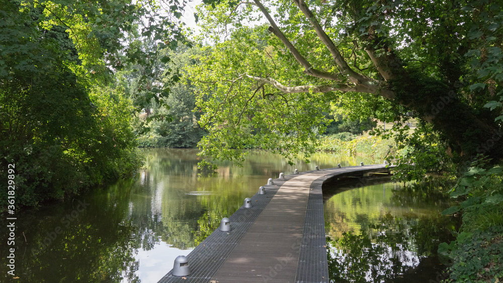 Holzsteg über einen Teich, umrandet von frischen grünen Blättern und Gras in einer grünen Parklandschaft mit verschiedenen Bäumen Holzsteg über einen Teich, umrandet von frischen grünen Blättern und Gras in einer grünen Parklandschaft mit verschiedenen Bäumen