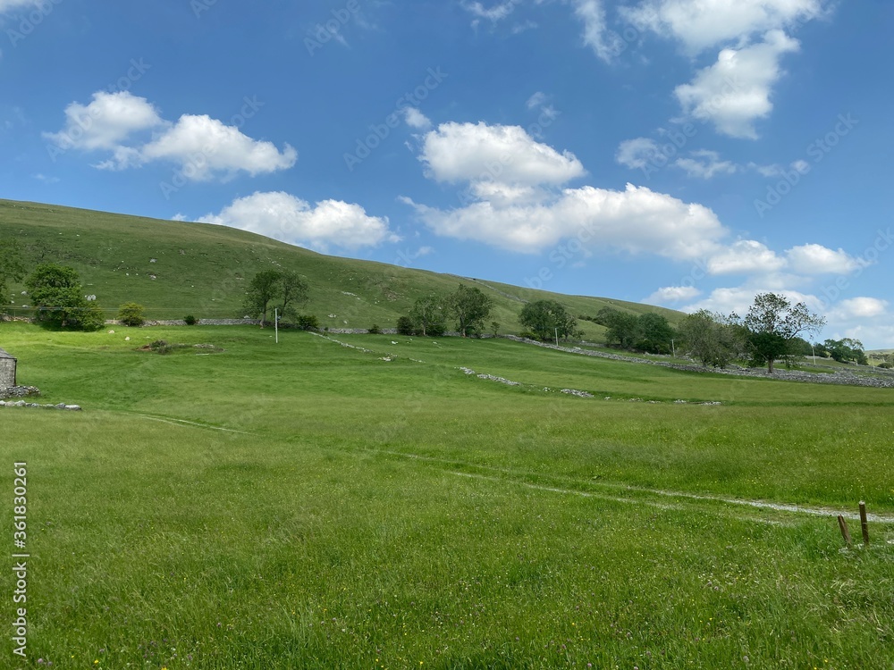 Sloping meadow, with dry stone walls, sheep, and trees near, Kettlewell, Skipton, UK Sloping meadow, with dry stone walls, sheep, and trees near, Kettlewell, Skipton, UK