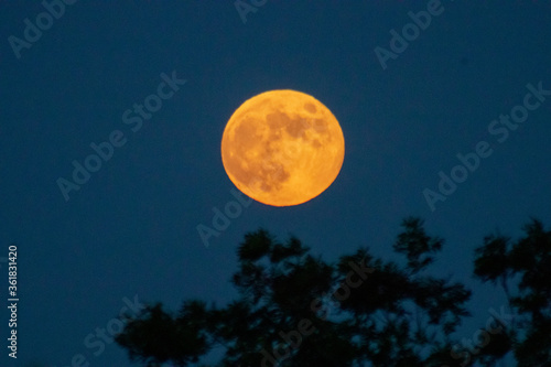 Full Moon