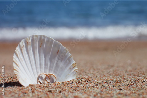 Sea shells with wedding rings on the beach. Summer vacation concept. Family holidays by the sea